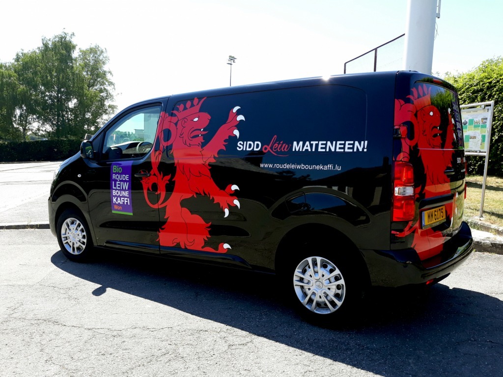 lettrage-camionnette-professionnelle-01