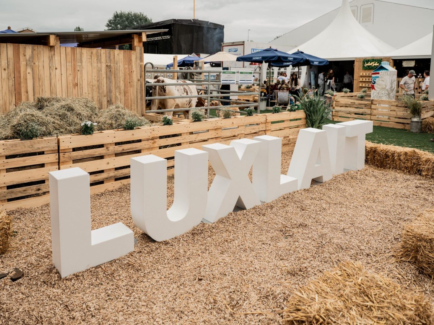 luxlait-lettres-3D-eclairage-LED-5-scaled